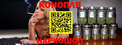 гашик Донецк