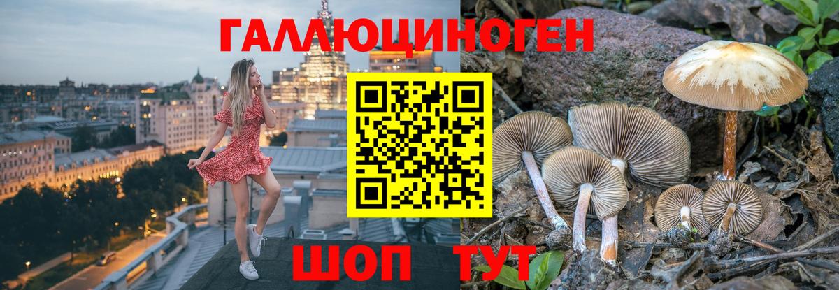 Лысьва  Псилоцибиновые грибы GOLDEN TEACHER  Вход с VPN 